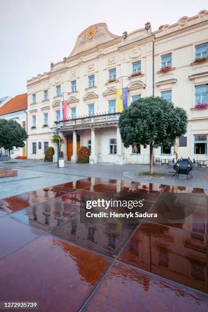 city hall of trnava - trnava imagens e fotografias de stock