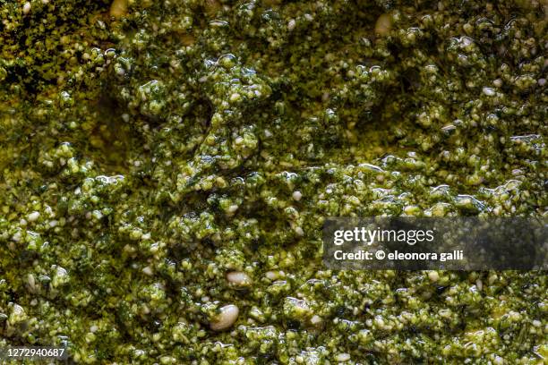 pesto genovese - pesto sauce stock pictures, royalty-free photos & images