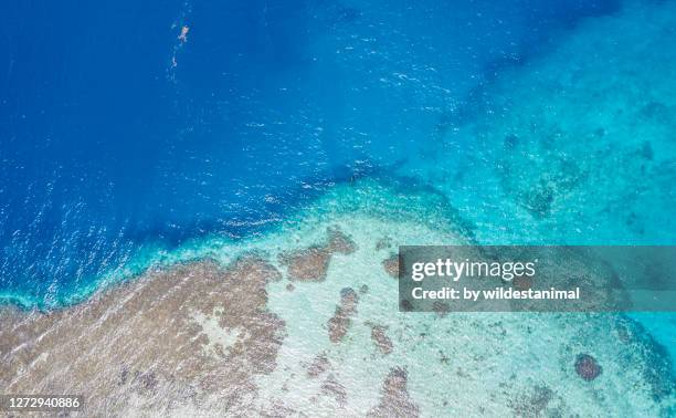 aerial view of exposed coral reef at low tide, bismarck sea, papua new guinea. - shallow stockfoto's en -beelden