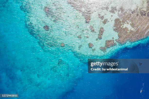 aerial view of exposed coral reef at low tide, bismarck sea, papua new guinea. - papuma beach stock pictures, royalty-free photos & images