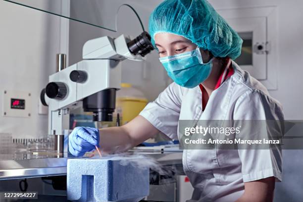 clinic of reproductive medicine. artificial the process of artificial insemination in ivf clinic. doctor in blue rubber gloves produce chemical manipulation in the laboratory with a microscope, tubes, nitrogen - sperm stock pictures, royalty-free photos & images