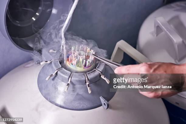 woman sperm tank - artificial insemination ストックフォトと画像