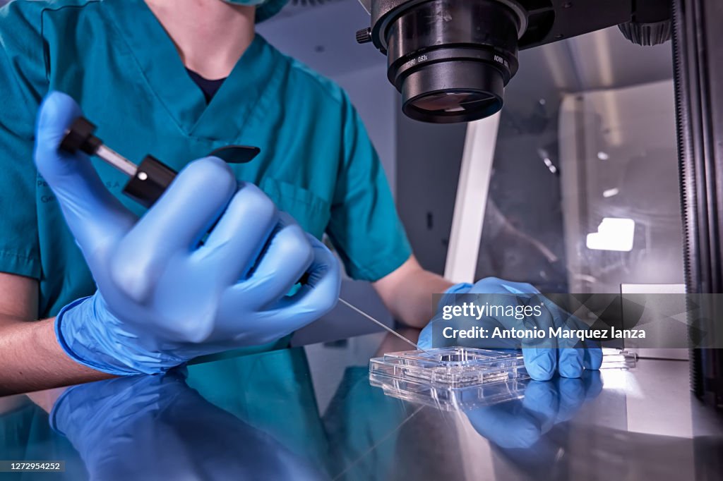Manipulating sperm close