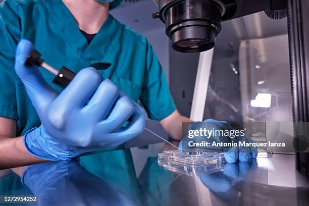 manipulating sperm close - fertilidade humana imagens e fotografias de stock