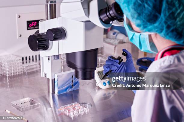 doctor woman in blue gloves does control check of the in vitro fertilization process using a microscope - infertilidad fotografías e imágenes de stock