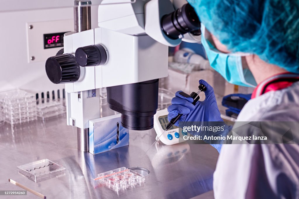 Doctor woman in blue gloves does control check of the in vitro fertilization process using a microscope