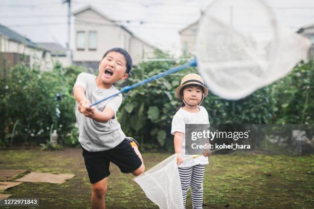 geschwister spielen im gemüsegarten - butterfly net stock-fotos und bilder