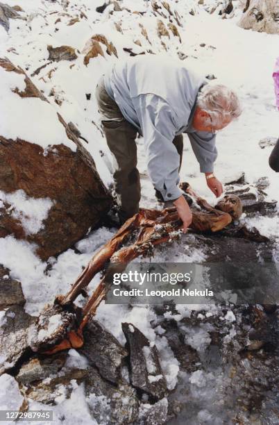 Le corps momifié a été trouvé par hasard par des randonneurs sur un glacier, le Similaun à 3200 mètres de hauteur, dans les Alpes de l'Otzal en...