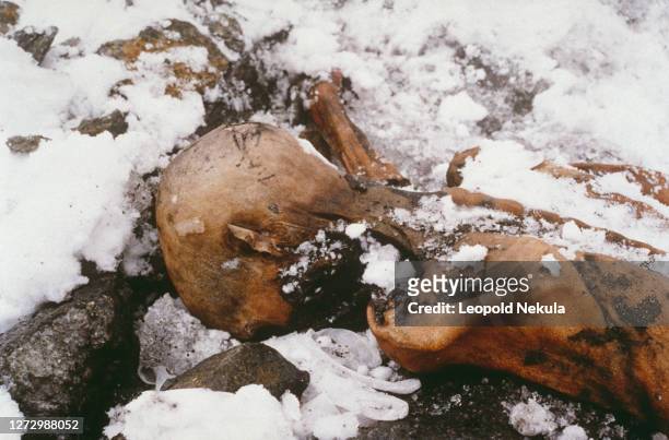 Est à 3200 mètres d'altitude que des randonneurs ont trouvé par hasard un corps momifié, sur un glacier du Similaun dans les Alpes de l'Otzal en...