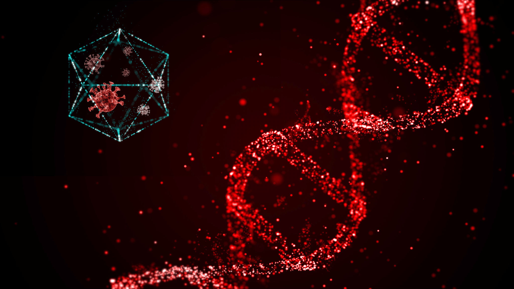 3d render infected DNA molecule over dark background in bokeh light paticles. 3d render infected DNA molecule over dark background in bokeh light paticles.