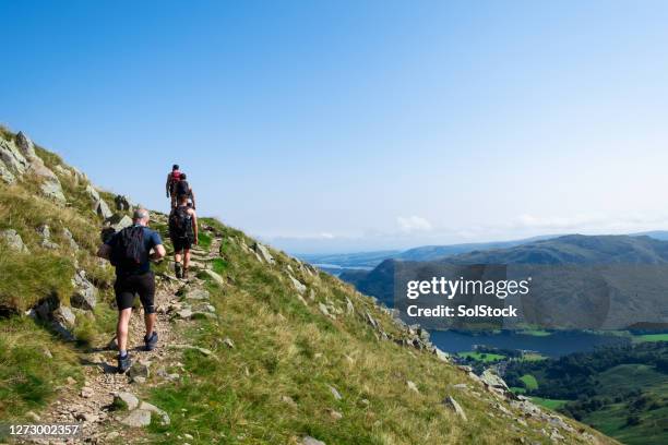 views over the lake - lake district stock pictures, royalty-free photos & images