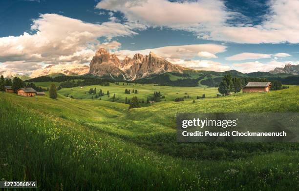 alpe di siusi - seiser alm, dolomites south tyrol, italy - chalet mountain foto e immagini stock