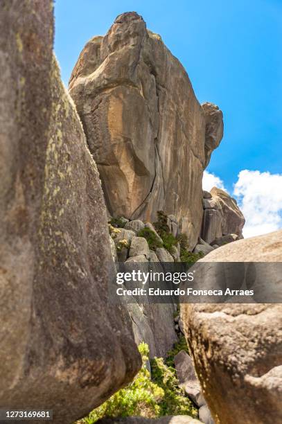 rock formation of the pico das prateleiras and grass vegetation on top of the mountains of the itatiaia national park (parque nacional do itatiaia) - prateleiras stock-fotos und bilder