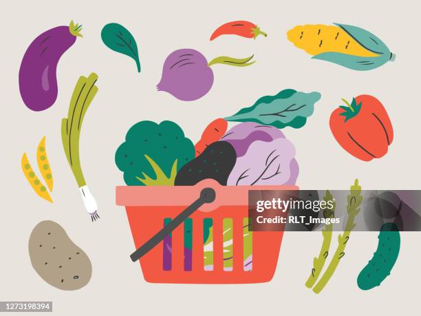 ilustraciones, imágenes clip art, dibujos animados e iconos de stock de ilustración de verduras frescas en la cesta de la compra — elementos vectoriales dibujados a mano - ilustración