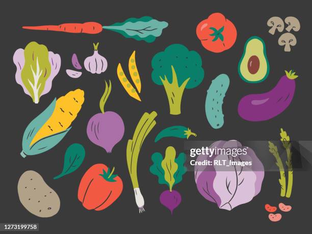 illustration of fresh vegetables — hand-drawn vector elements - red cabbage stock illustrations