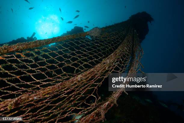 fishing net on a rocky reef. - rete da pesca commerciale foto e immagini stock