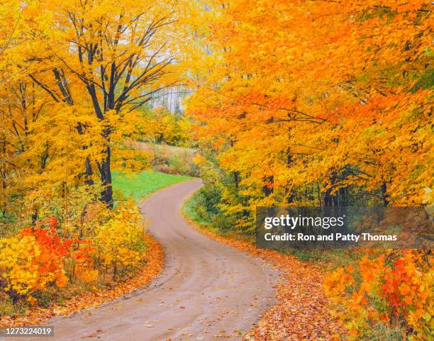 country road through autumn forest green mountains, vermont - green mountain range stock pictures, royalty-free photos & images