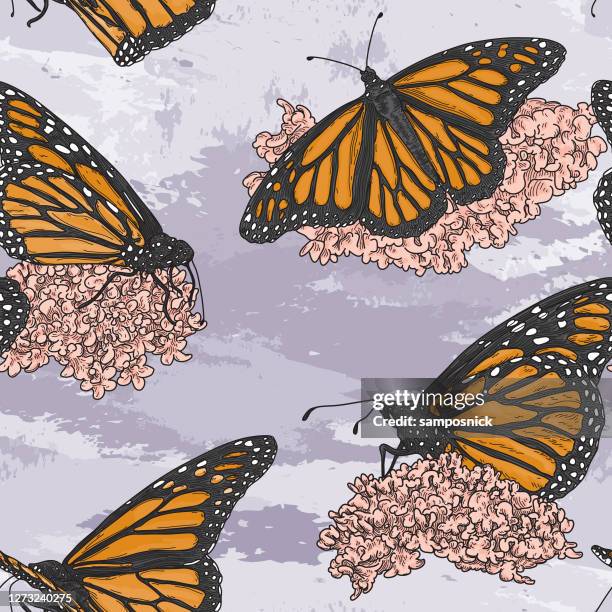 vintage line art monarch butterflies on milkweed pattern - lepidoptera stock illustrations