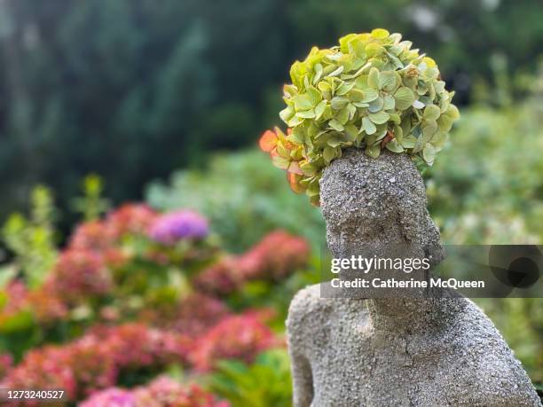lady statue in the garden crowned with a single hydrangea blossom - sculpture garden stock pictures, royalty-free photos & images
