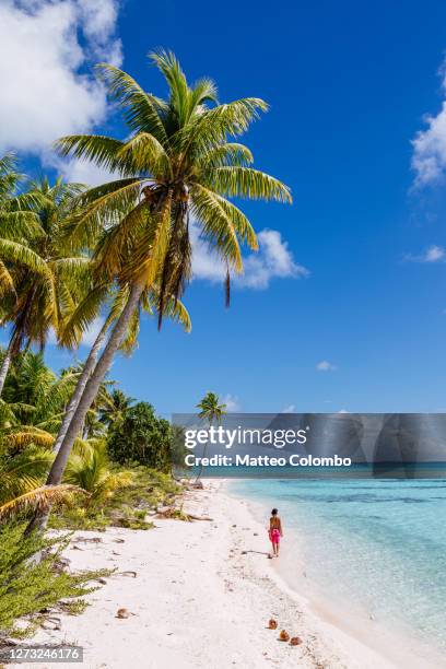 woman walking on sandy beach with palm tree - tahiti photos et images de collection