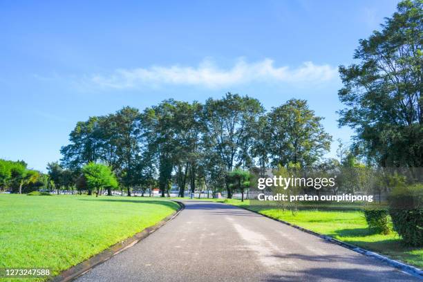 green park during sunny day - landscaped walkway stock pictures, royalty-free photos & images