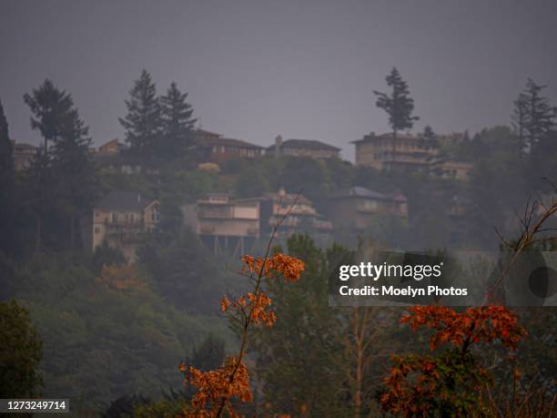 improving smoke conditions - portland or 001 - forest fire oregon stock pictures, royalty-free photos & images