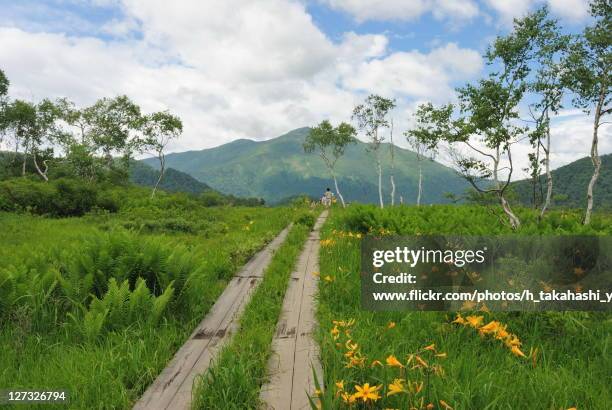 people walking in park, ozegahara - gunma prefecture stock pictures, royalty-free photos & images