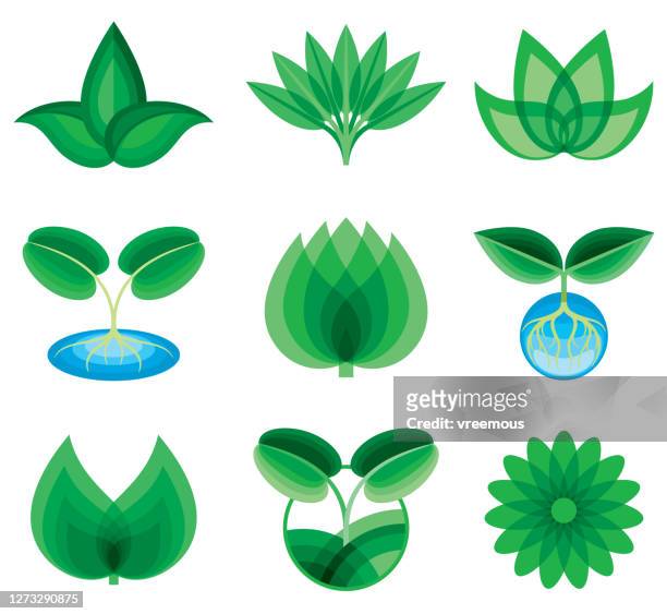 plant leaves design elements icons - herbal logo stock illustrations