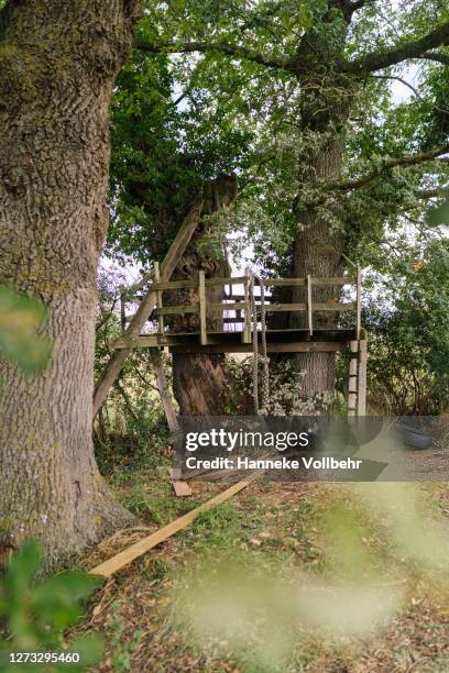 treehouse from a distance - kamperen stock-fotos und bilder