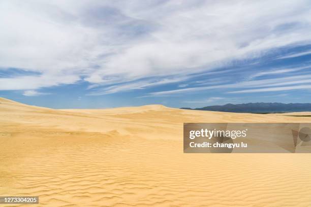golden desert under the sun - arid climate stock illustrations stock pictures, royalty-free photos & images
