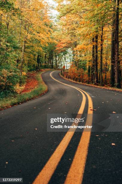 autumnal country road - maine road stock pictures, royalty-free photos & images