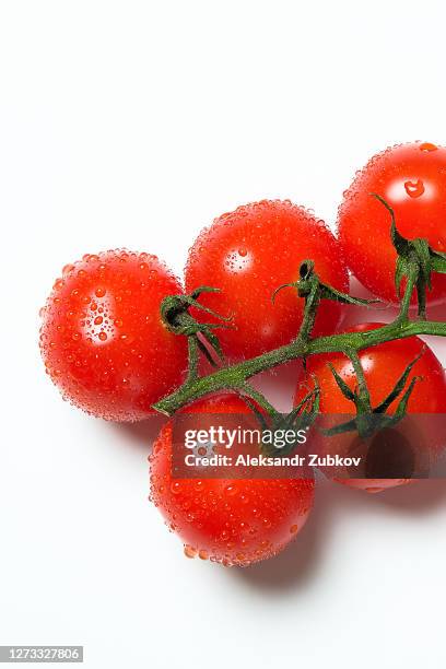 ripe cherry tomatoes on a twig, isolated on a white background. vegetarian, vegan, and raw food. - cherry tomaten stock-fotos und bilder