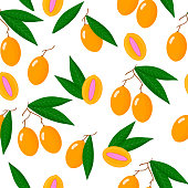 Vector cartoon seamless pattern with Bouea macrophylla or gandaria exotic fruits and leafs on white background