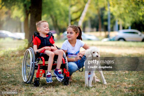 leuke kleine jongen in rolstoel die met zijn zuster en hond buiten speelt - wheelchair stockfoto's en -beelden