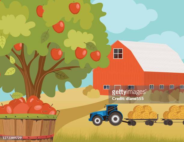 bildbanksillustrationer, clip art samt tecknat material och ikoner med hösten orchard farm scen - apple tree