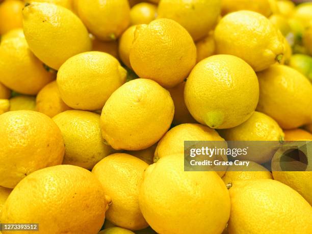 lemons - plentiful imagens e fotografias de stock