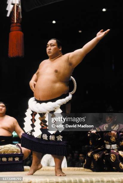 北の湖 敏満 写真 ストックフォトと画像 - Getty Images
