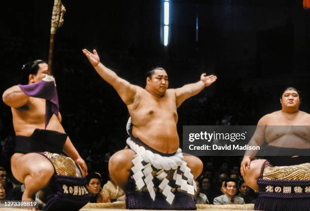 169 北の湖 敏満 写真 Stock Photos, High-Res Pictures, and Images - Getty Images