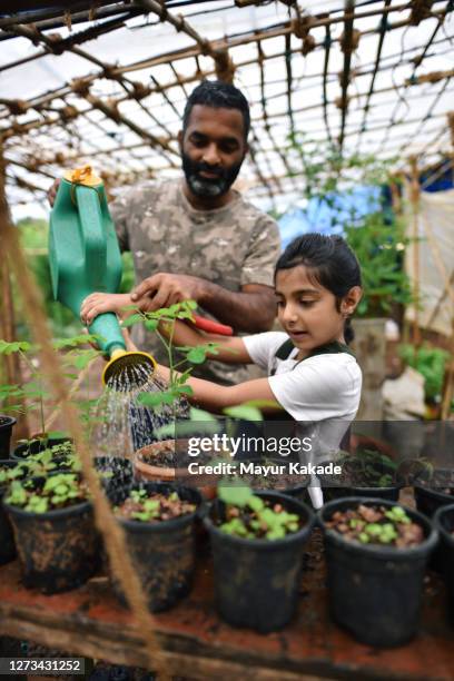 father and daughter watering the plants in the greenhouse - family vertical stock pictures, royalty-free photos & images