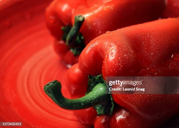 food photography of fresh red bell pepper side view, raw organic vegetable with water drops on a red plate close-up macro - pimiento dulce fotografías e imágenes de stock