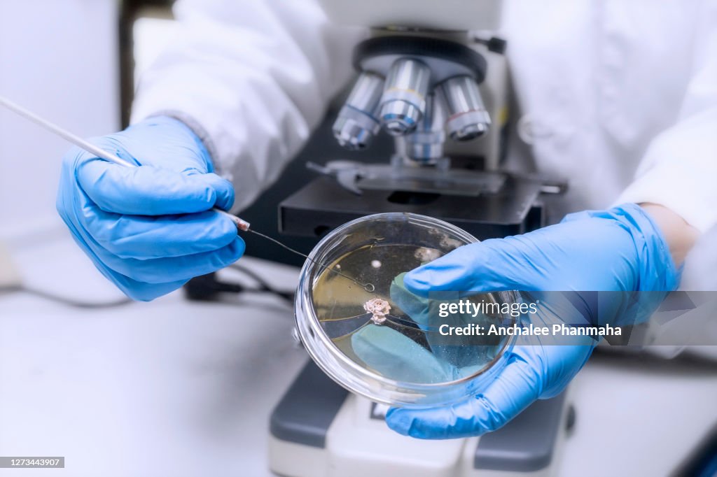 Laboratory concept; Close up picture of a microbiologist uses microscope in researching in Laboratory