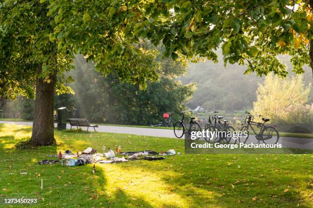 bicycles and picnic in the park - beschermd natuurgebied stockfoto's en -beelden