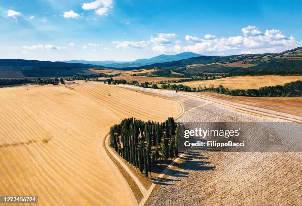 bosque en forma de corazón en toscana, italia - val dorcia fotografías e imágenes de stock