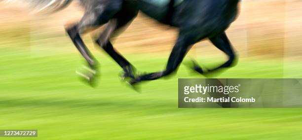 galloping horse - horse hoof stock pictures, royalty-free photos & images