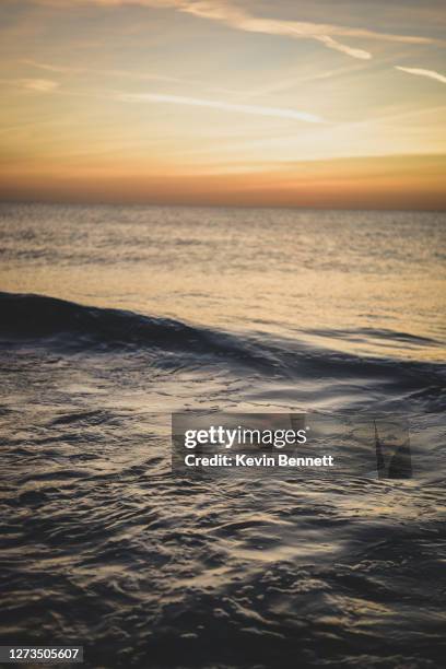 st. petersburg, florida, usa - st petersburg florida stock pictures, royalty-free photos & images