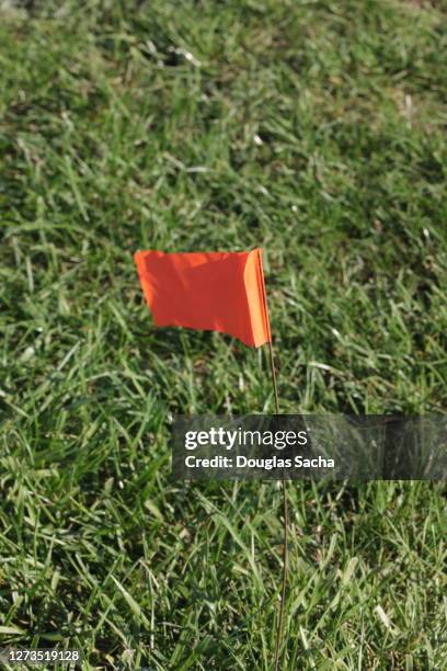 Dig Test Flag Dig Flag Photos and Premium High Res Pictures - Getty Images