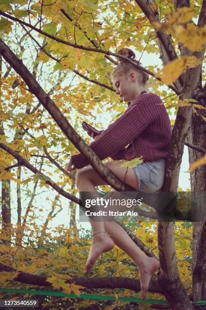 girl climbed into a tree - kinder wald herbst äste natürlich stock-fotos und bilder