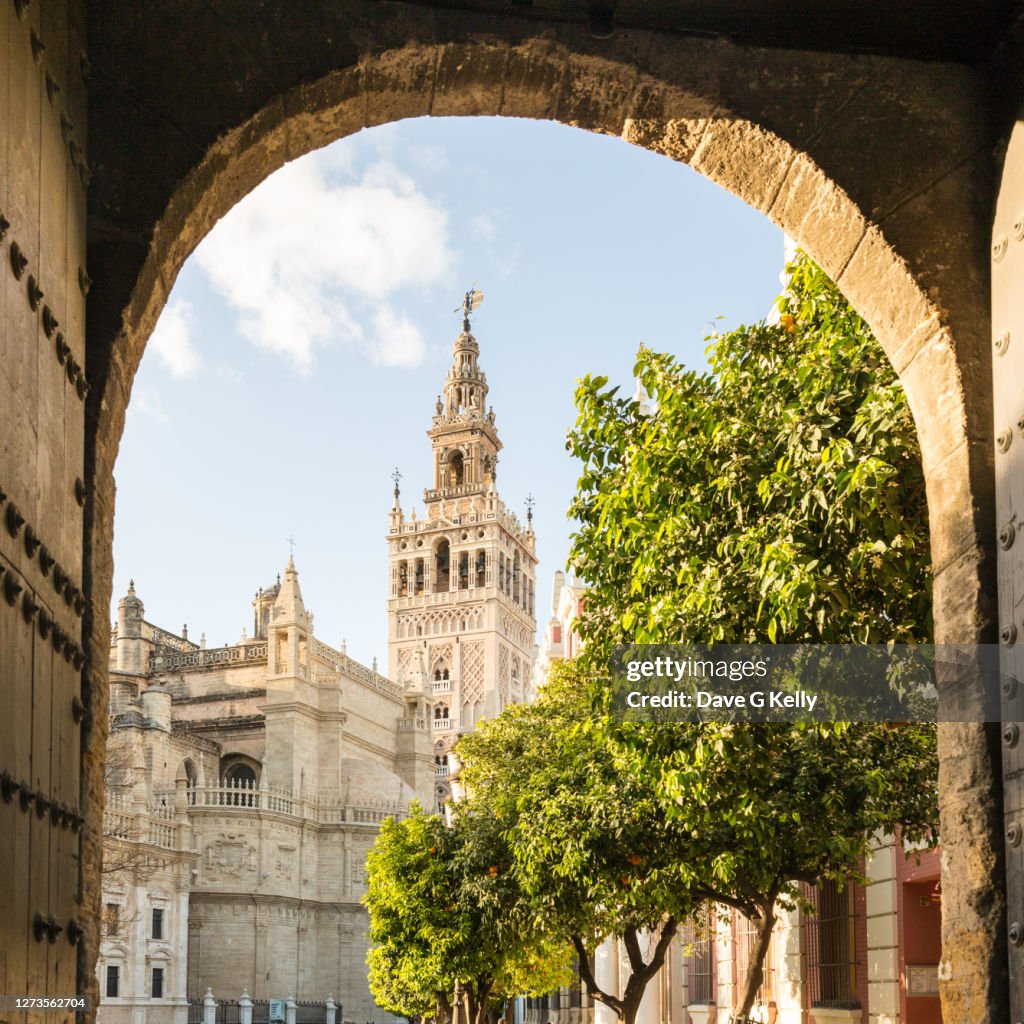 La Giralda Framed by an Arch Seville, Spain