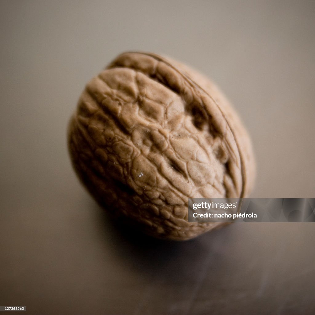 Walnut