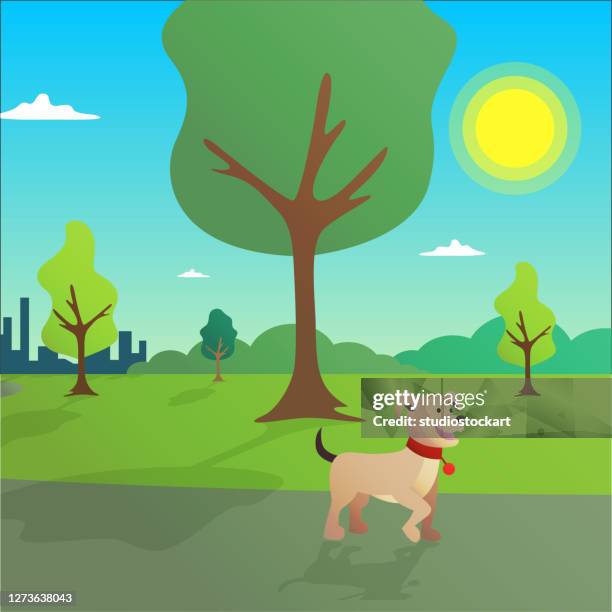 ilustraciones, imágenes clip art, dibujos animados e iconos de stock de perro en la escena del parque - dogs park